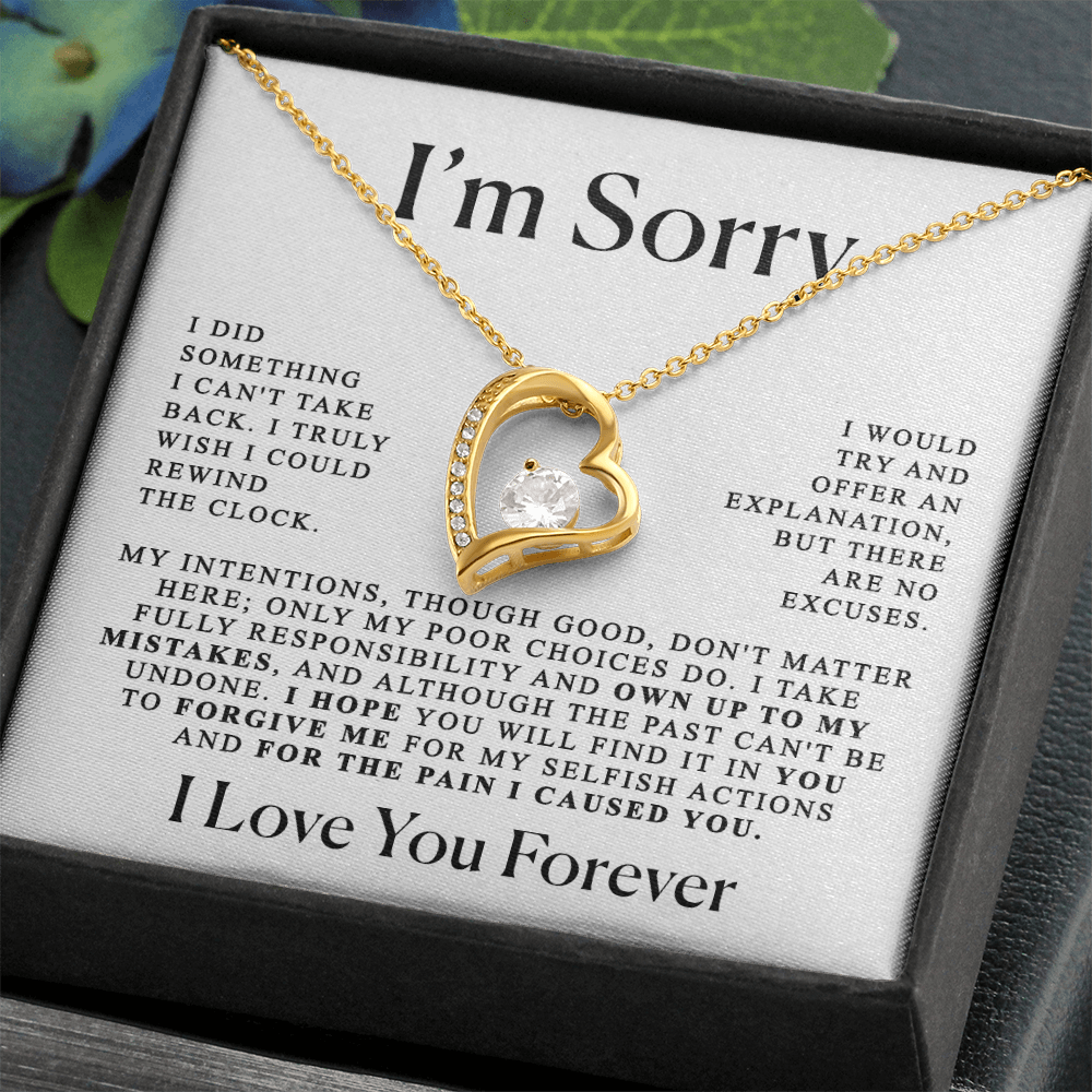 Apology Gift For Her - Heart necklace