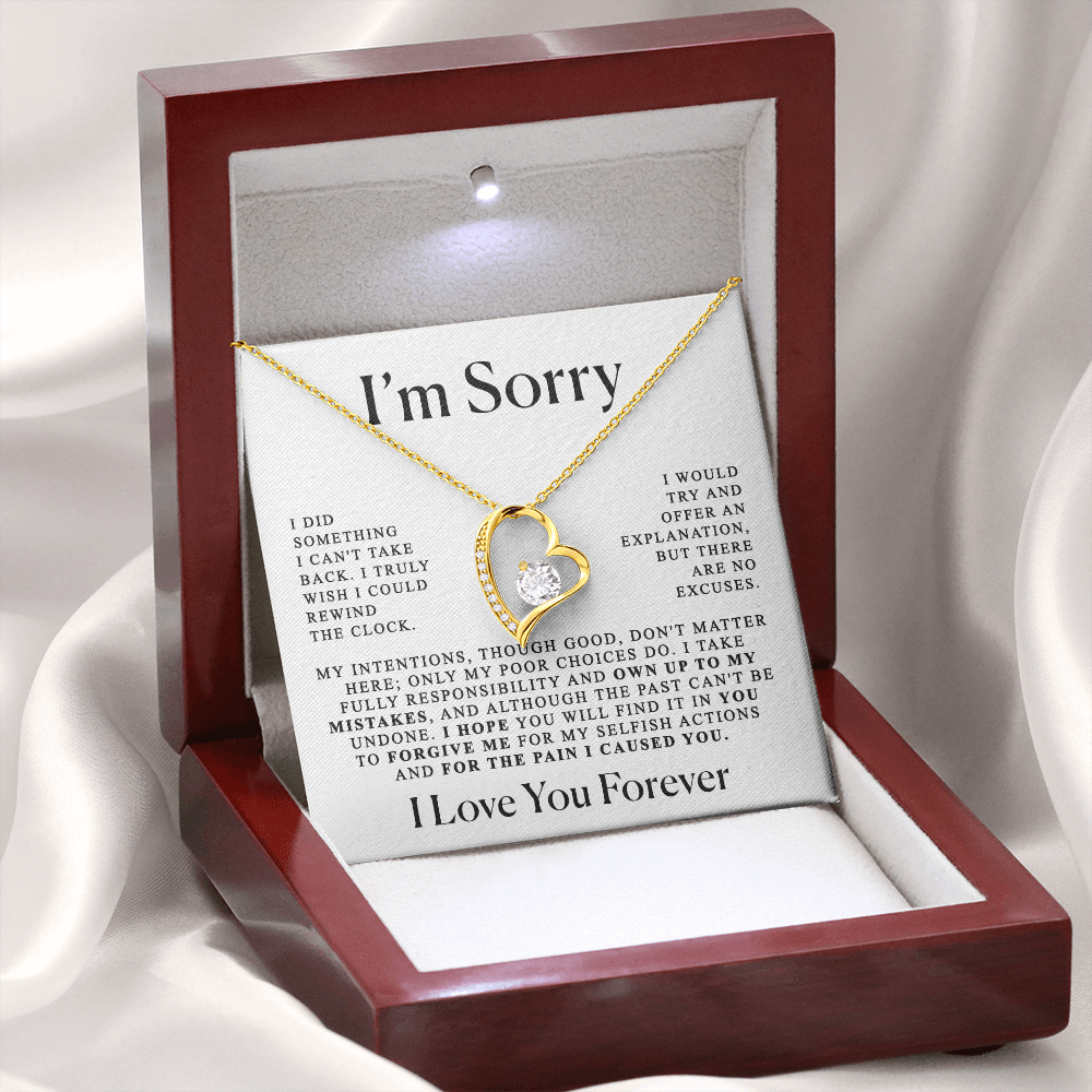 Apology Gift For Her - Heart necklace