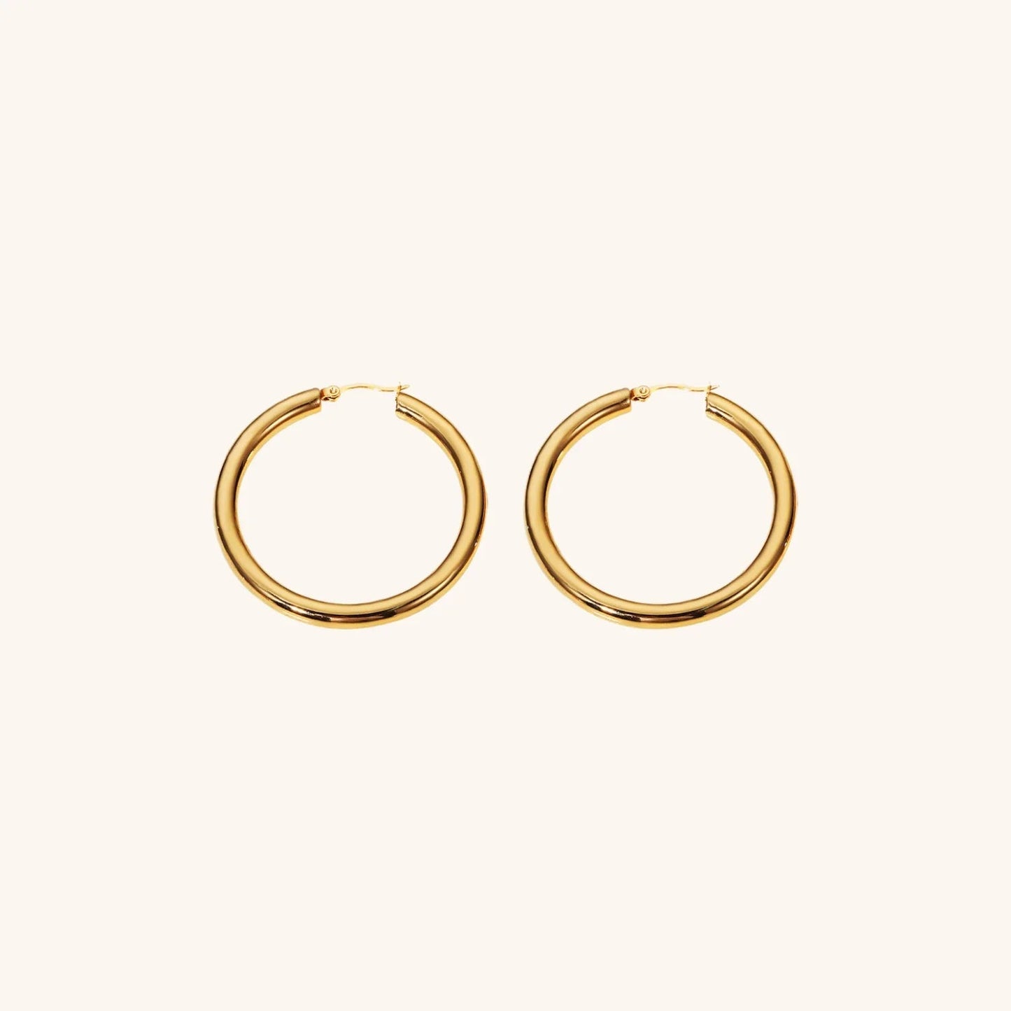 Zadie - Hoop Earrings