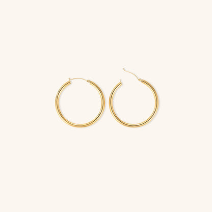 Eloise - Wide Round Hoops
