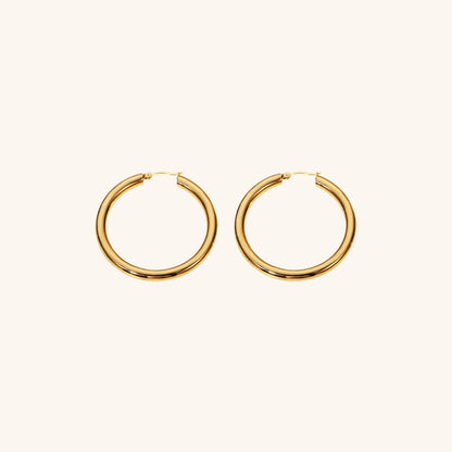 Zadie - Hoop Earrings