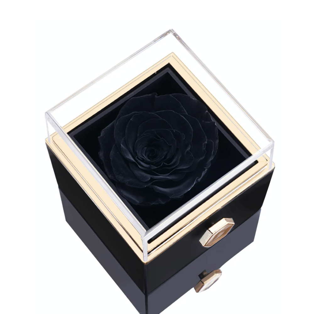 Darcy - Two interlocked hearts necklace