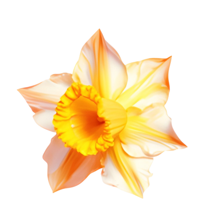 To My Granddaughter - Whenever You Feel Overwhelmed - Personalized Stuffed Bunny