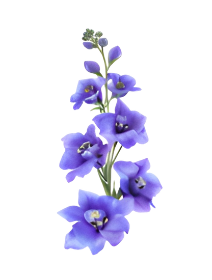 To My Granddaughter - Whenever You Feel Overwhelmed - Personalized Stuffed Bunny