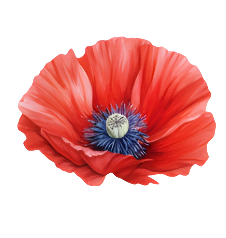 To My Granddaughter - Whenever You Feel Overwhelmed - Personalized Stuffed Bunny