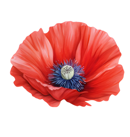 To My Granddaughter - Whenever You Feel Overwhelmed - Personalized Stuffed Bunny