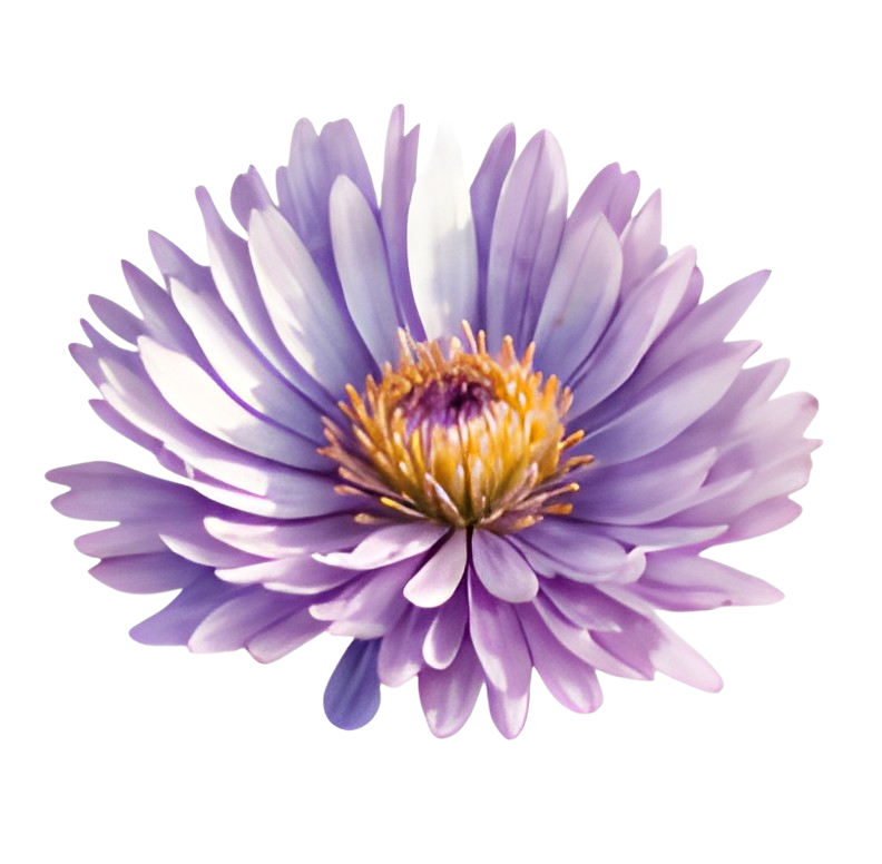 To My Granddaughter - Whenever You Feel Overwhelmed - Personalized Stuffed Bunny