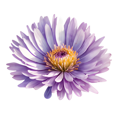 To My Granddaughter - Whenever You Feel Overwhelmed - Personalized Stuffed Bunny