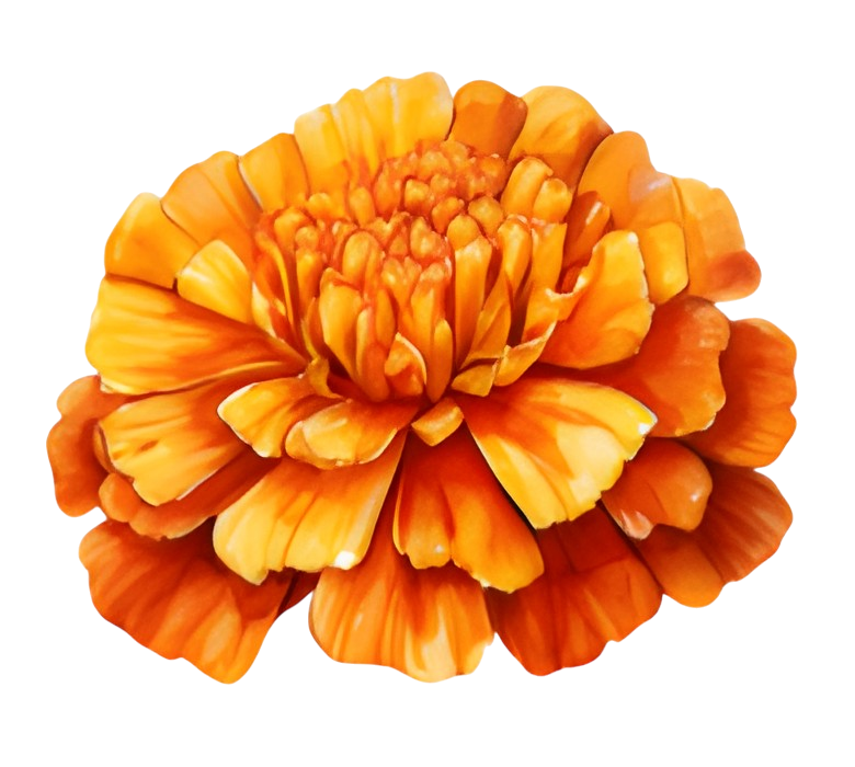 To My Granddaughter - Whenever You Feel Overwhelmed - Personalized Stuffed Bunny