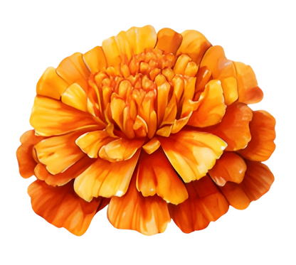 To My Granddaughter - Whenever You Feel Overwhelmed - Personalized Stuffed Bunny