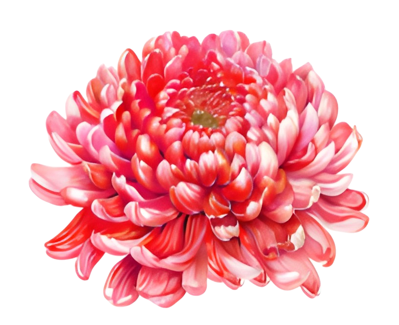 To My Granddaughter - Whenever You Feel Overwhelmed - Personalized Stuffed Bunny